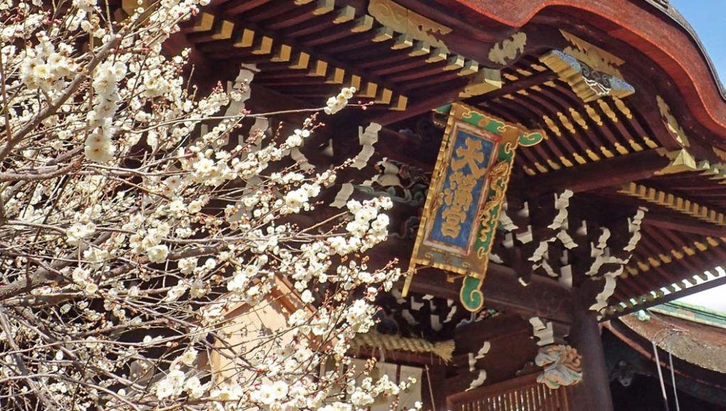 梅