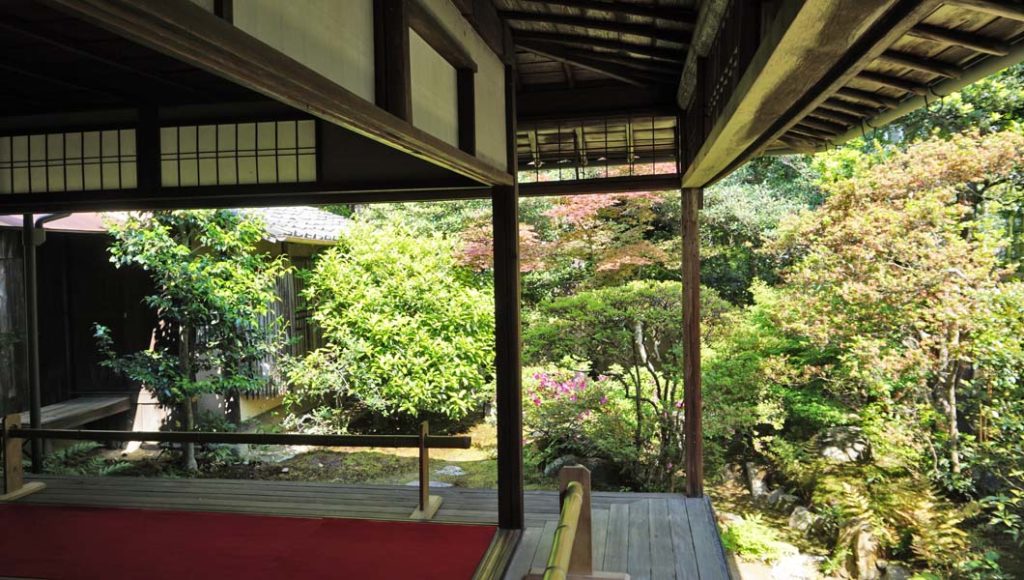 大雄院 庭