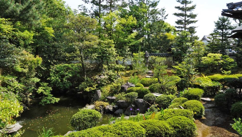 大雄院 庭