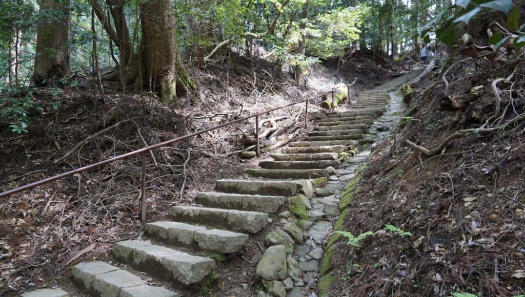 ハイキングコース