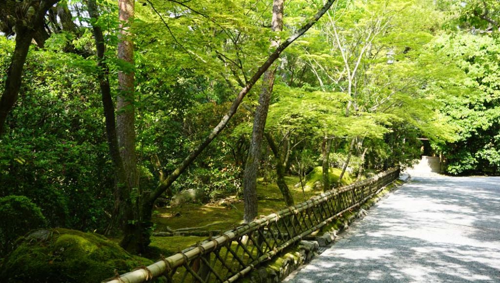龍安寺 参道