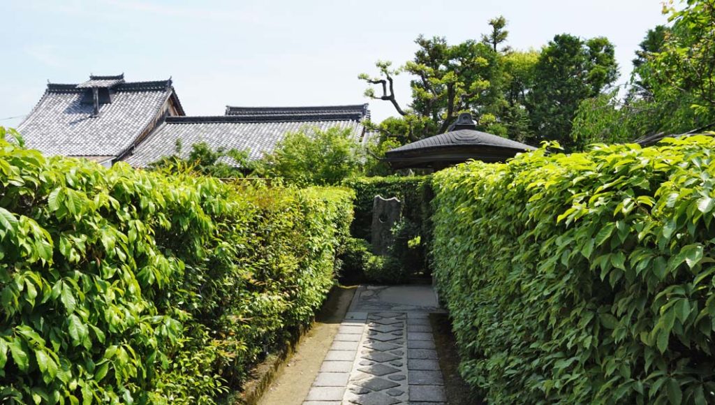 退蔵院 通路