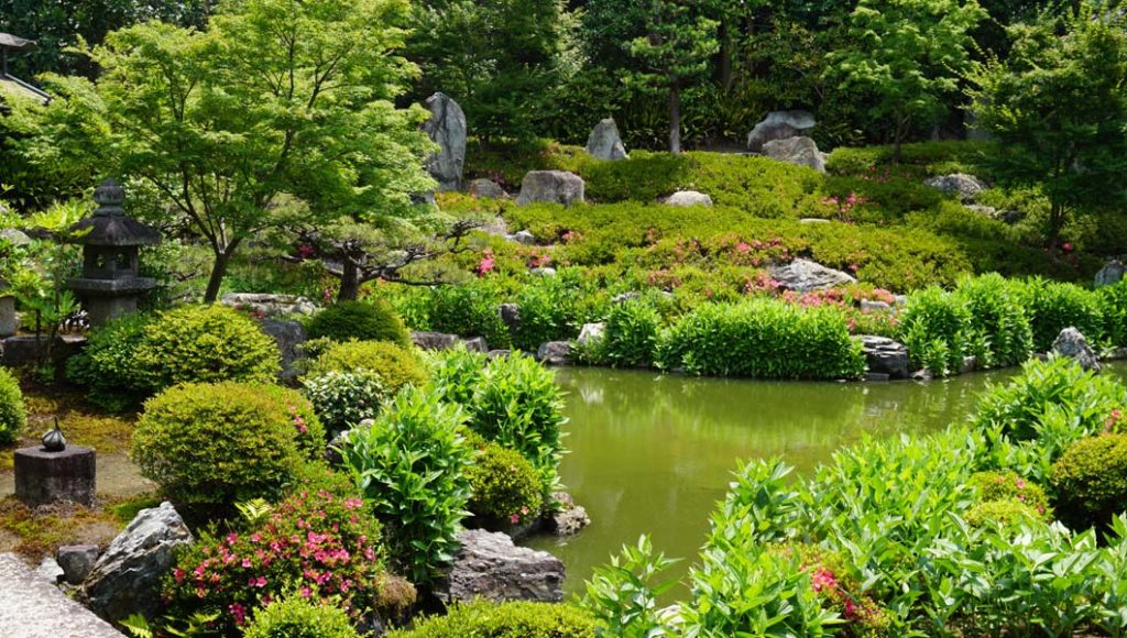 両足院 半夏生の庭