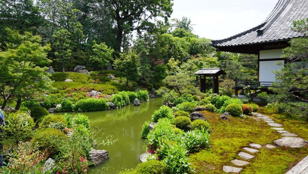 両足院 半夏生の庭