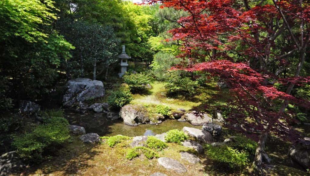 庭園内の小川