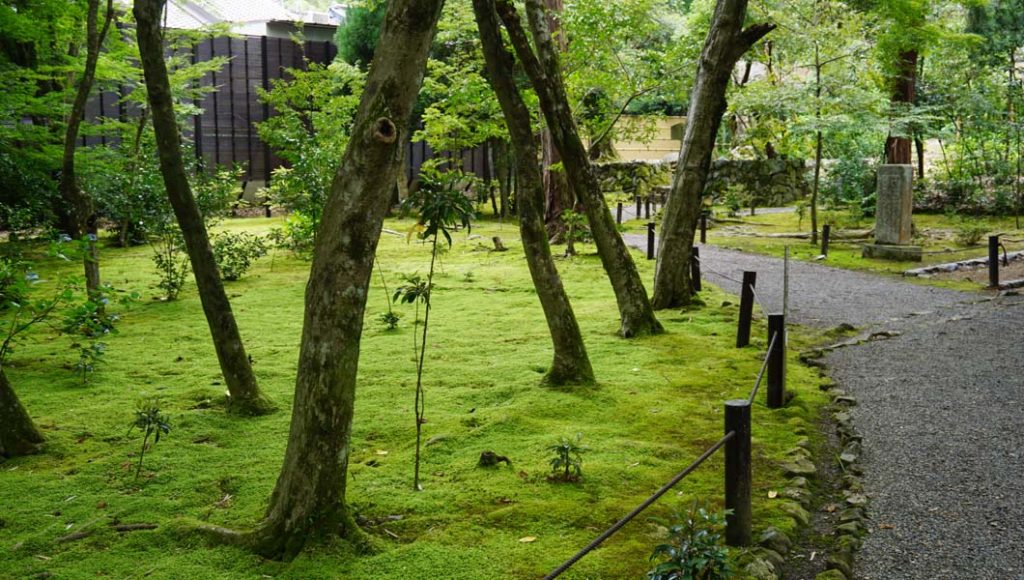 地蔵院 境内