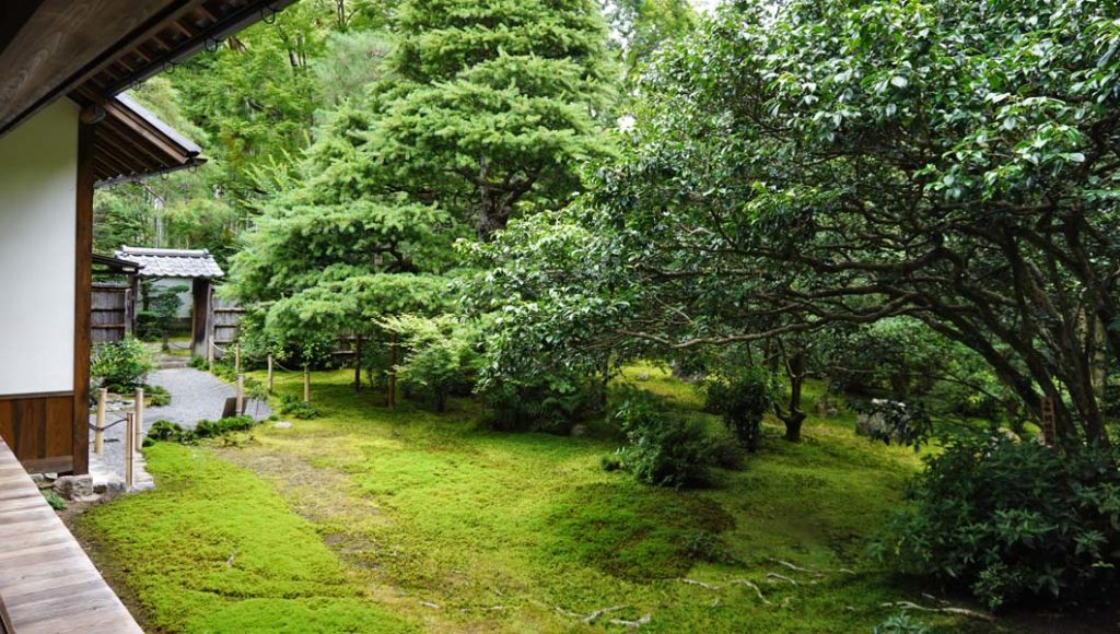 地蔵院 方丈前の庭