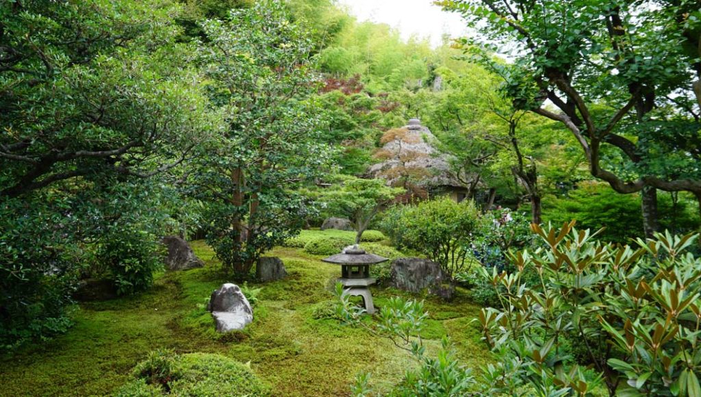 鈴虫寺庭園