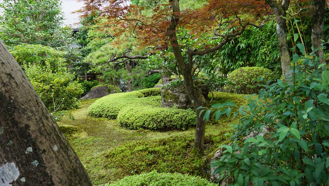 鈴虫寺庭園