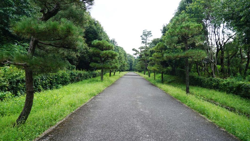 桓武天皇陵 参道