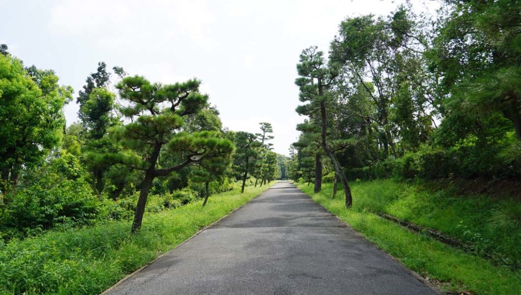 桓武天皇陵参道