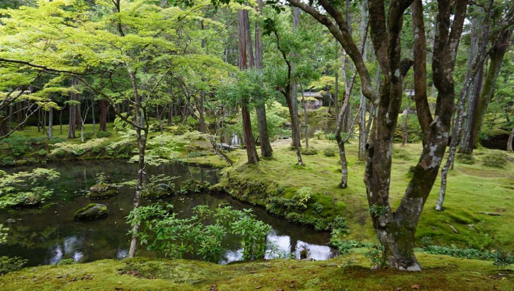 西芳寺 最初の池1