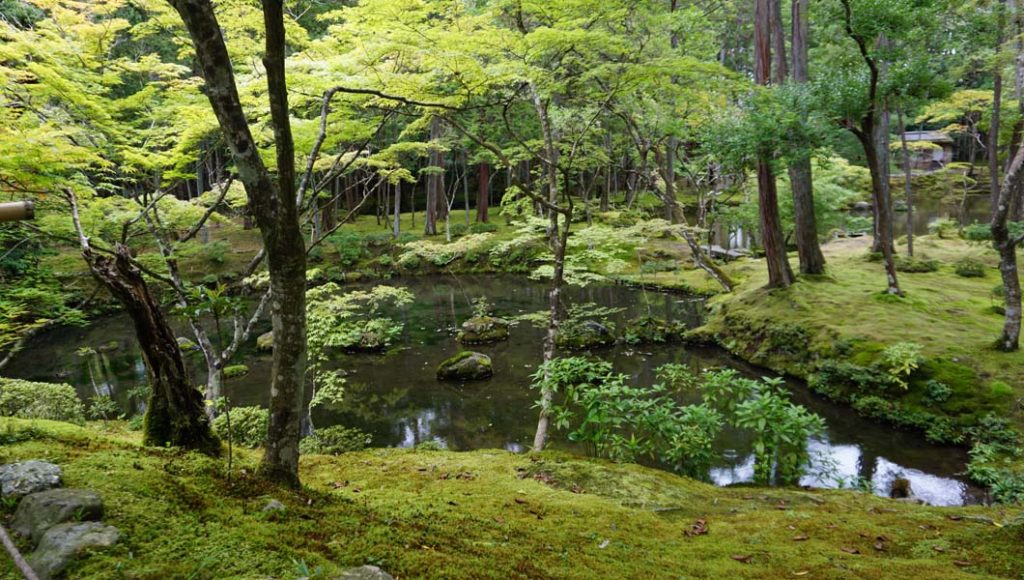 西芳寺 最初の池2