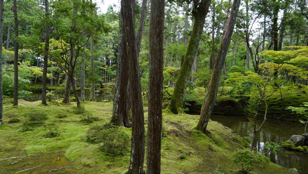 西芳寺 庭園