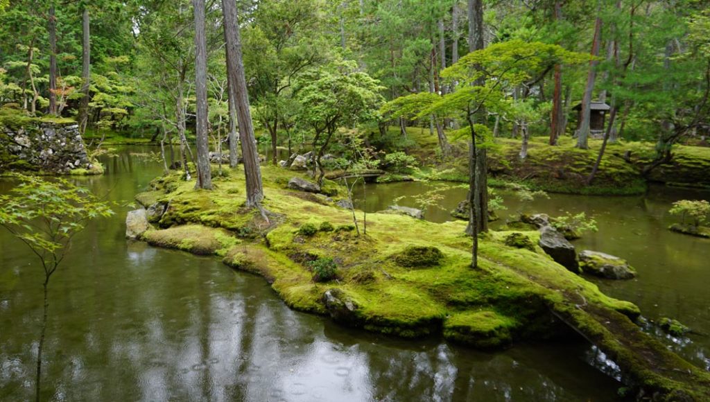 西芳寺 苔の橋