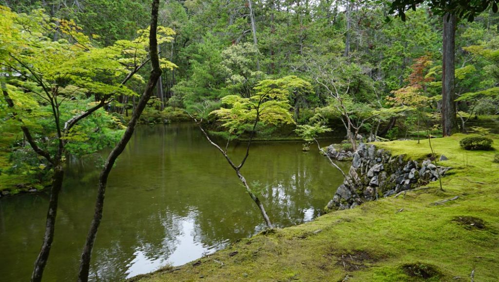 朝日ケ島を望む