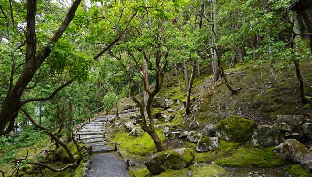 西芳寺 上段の道