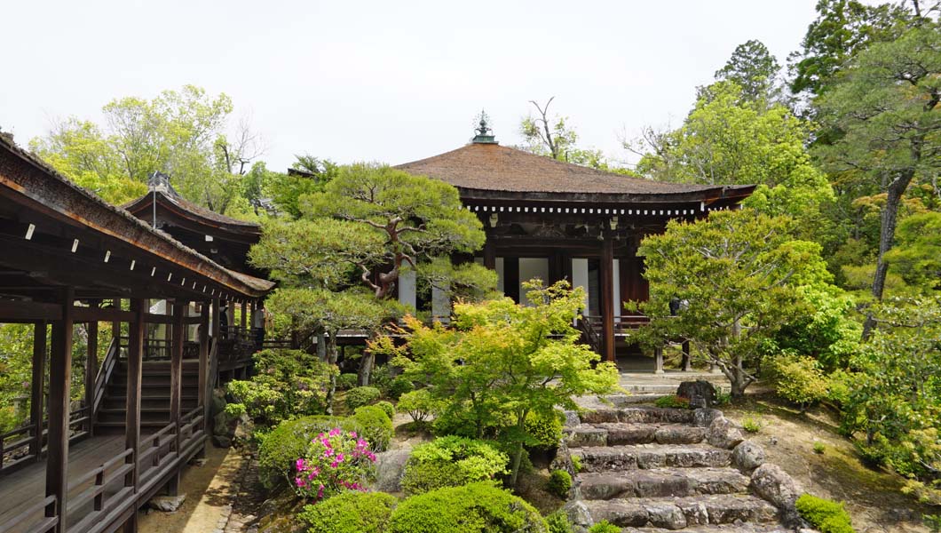 仁和寺 | 御室御所と呼ばれた門跡寺院、桜の名所 - ふらふら京都散歩