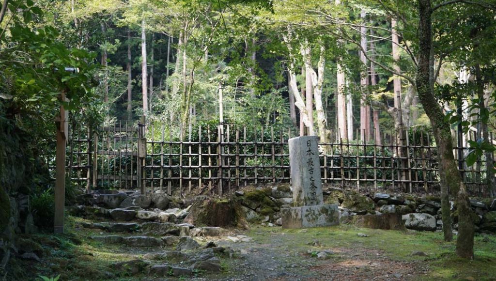 高山寺 最古の茶園