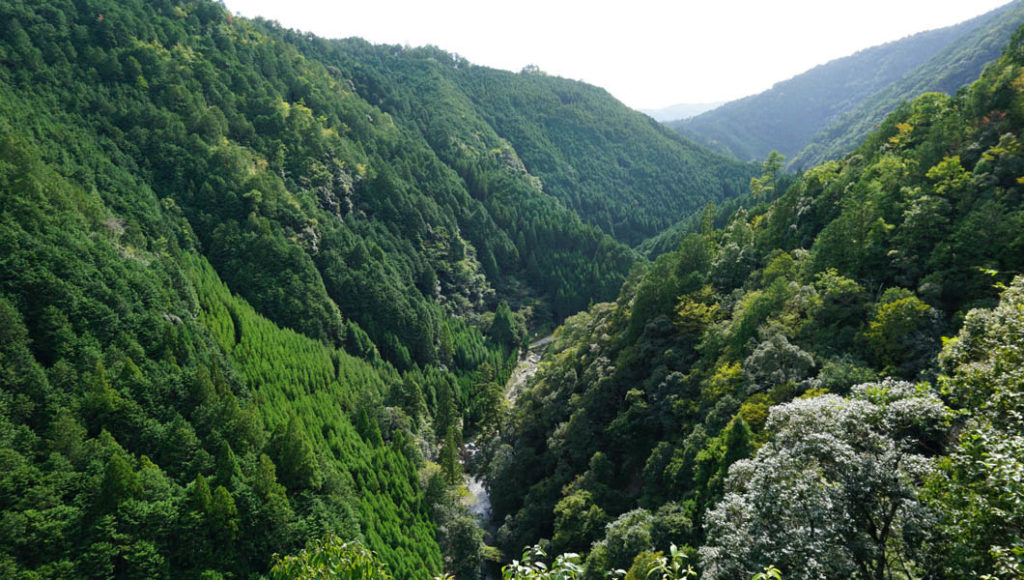 高雄山からの風景