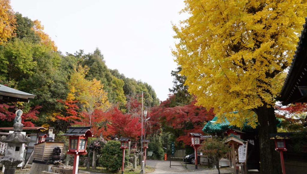 松ヶ崎大黒天の紅葉