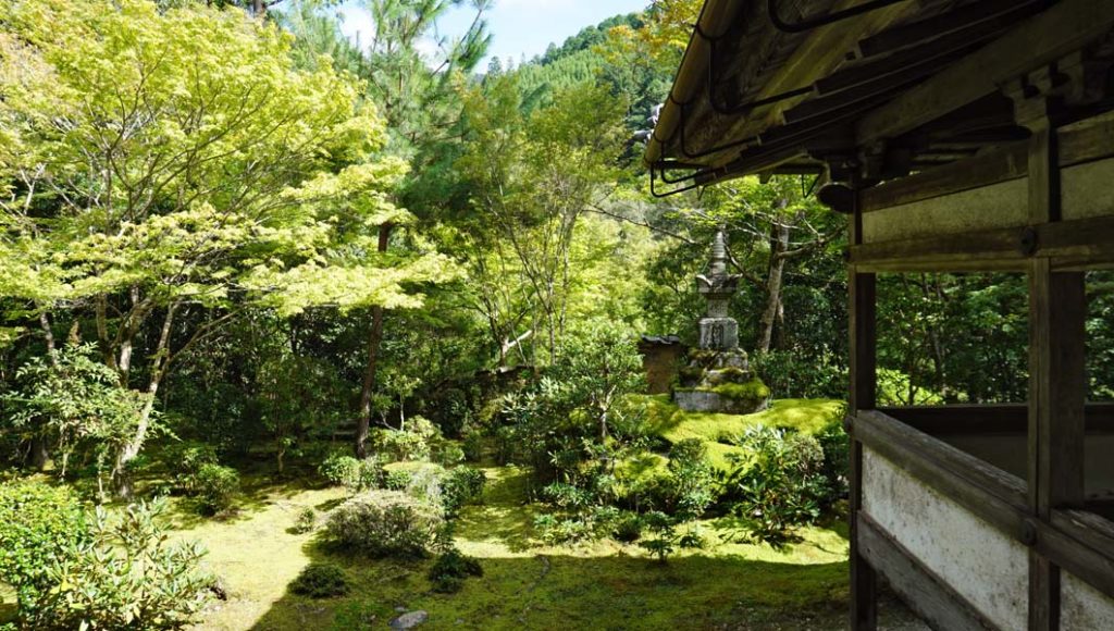 西明寺 苔庭