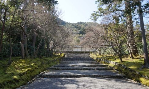 二尊院 参道