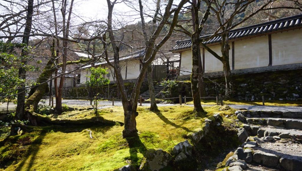 二尊院 参道
