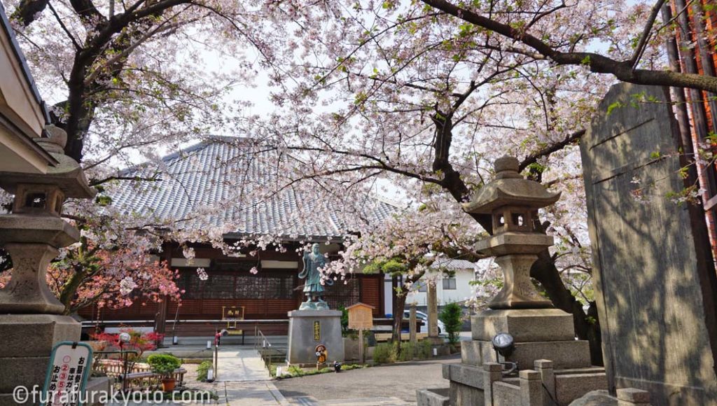 墨染寺