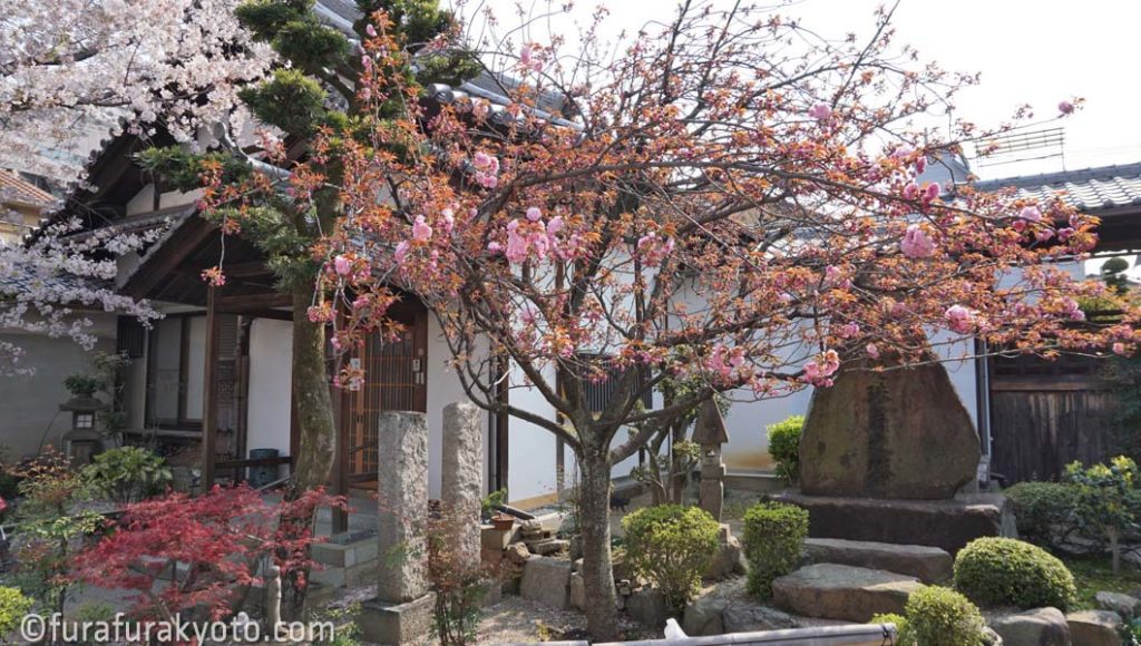 墨染寺 境内