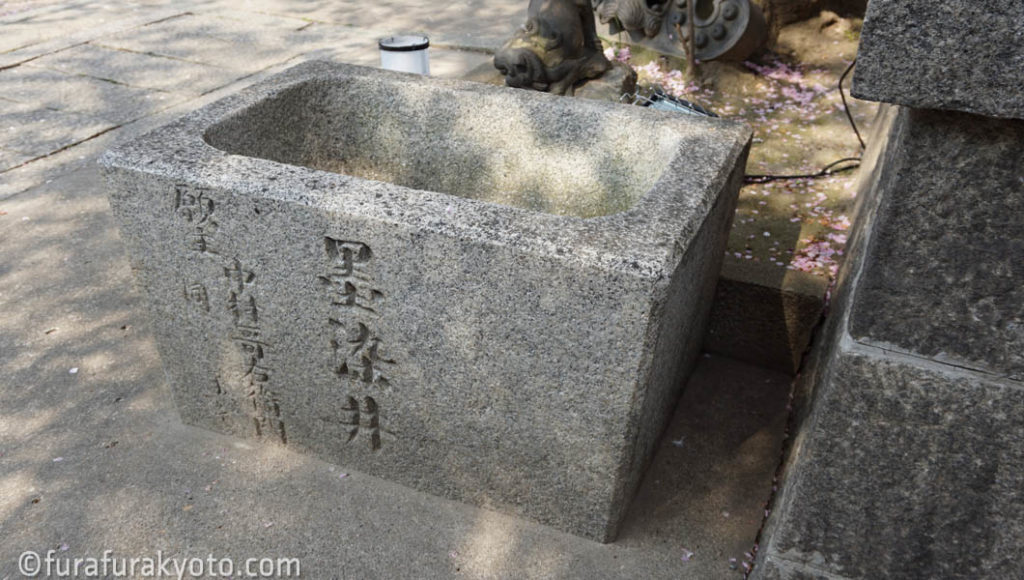 墨染井