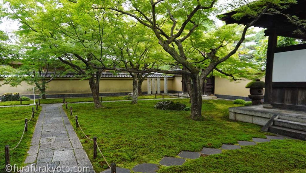 黄梅院 玄関の庭