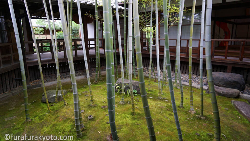 妙顕寺　竹の坪庭