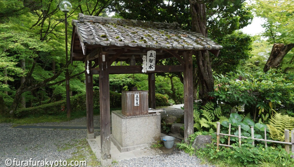 今熊野観音寺 五智水