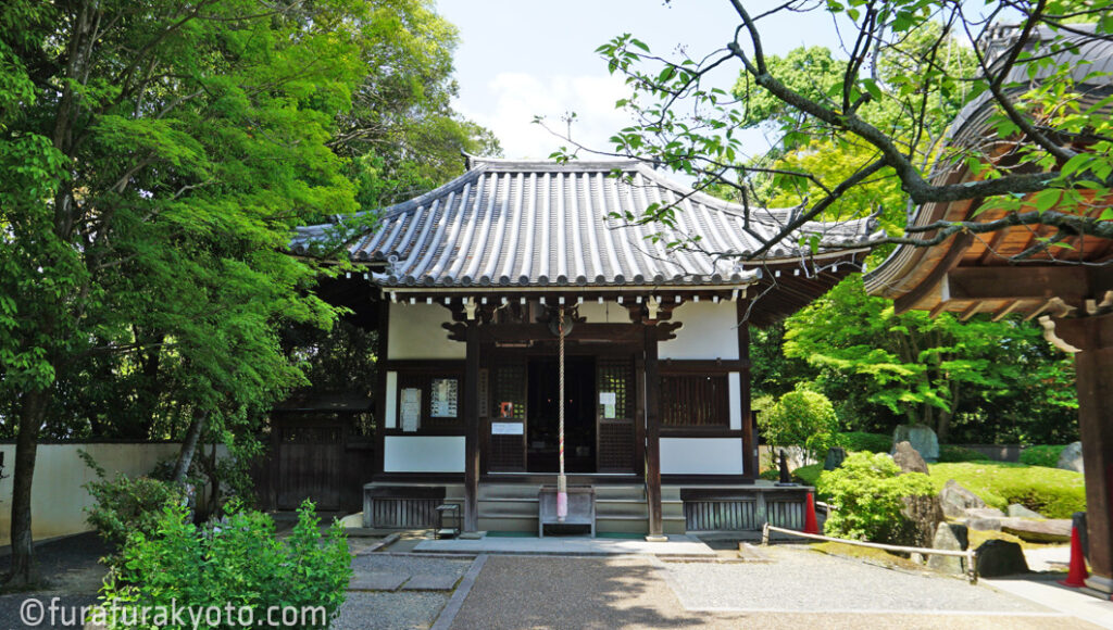 御寺 泉涌寺 楊貴妃観音