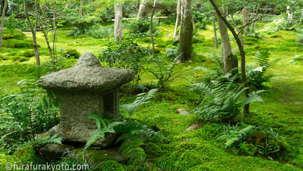 祇王寺　お庭